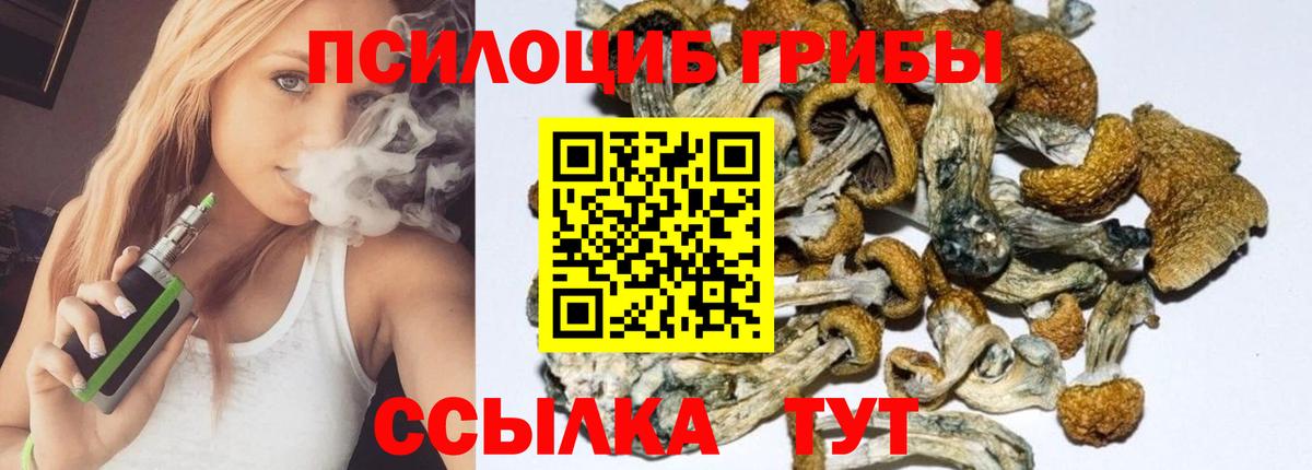 Галлюциногенные грибы MAGIC MUSHROOMS  Вход с VPN  Первоуральск 
